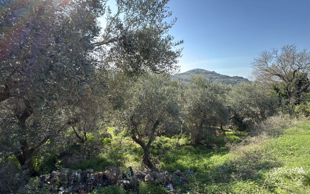 GAETA VIA DEL COLLE TERRENO AGRICOLO